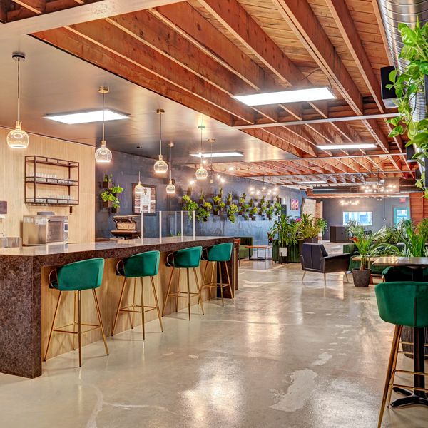 Modern cafe interior with green velvet stools and exposed wooden ceiling beams.