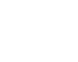 Yahspeedflooringartists