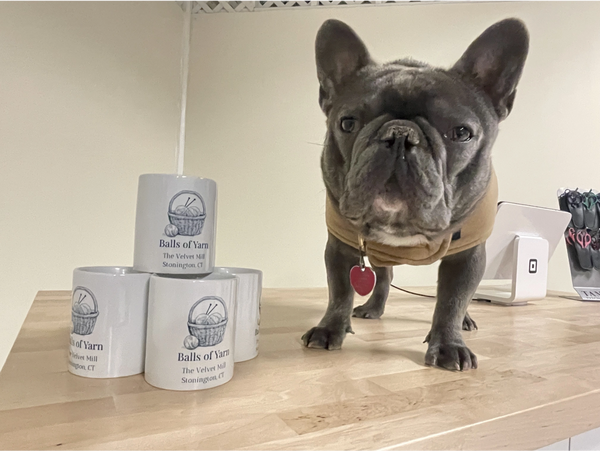 Yarn Shop Dog, with his mugs!