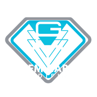 GEM Cars Modified