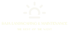Baja Landscaping 