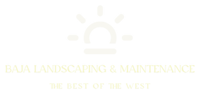 Baja Landscaping 