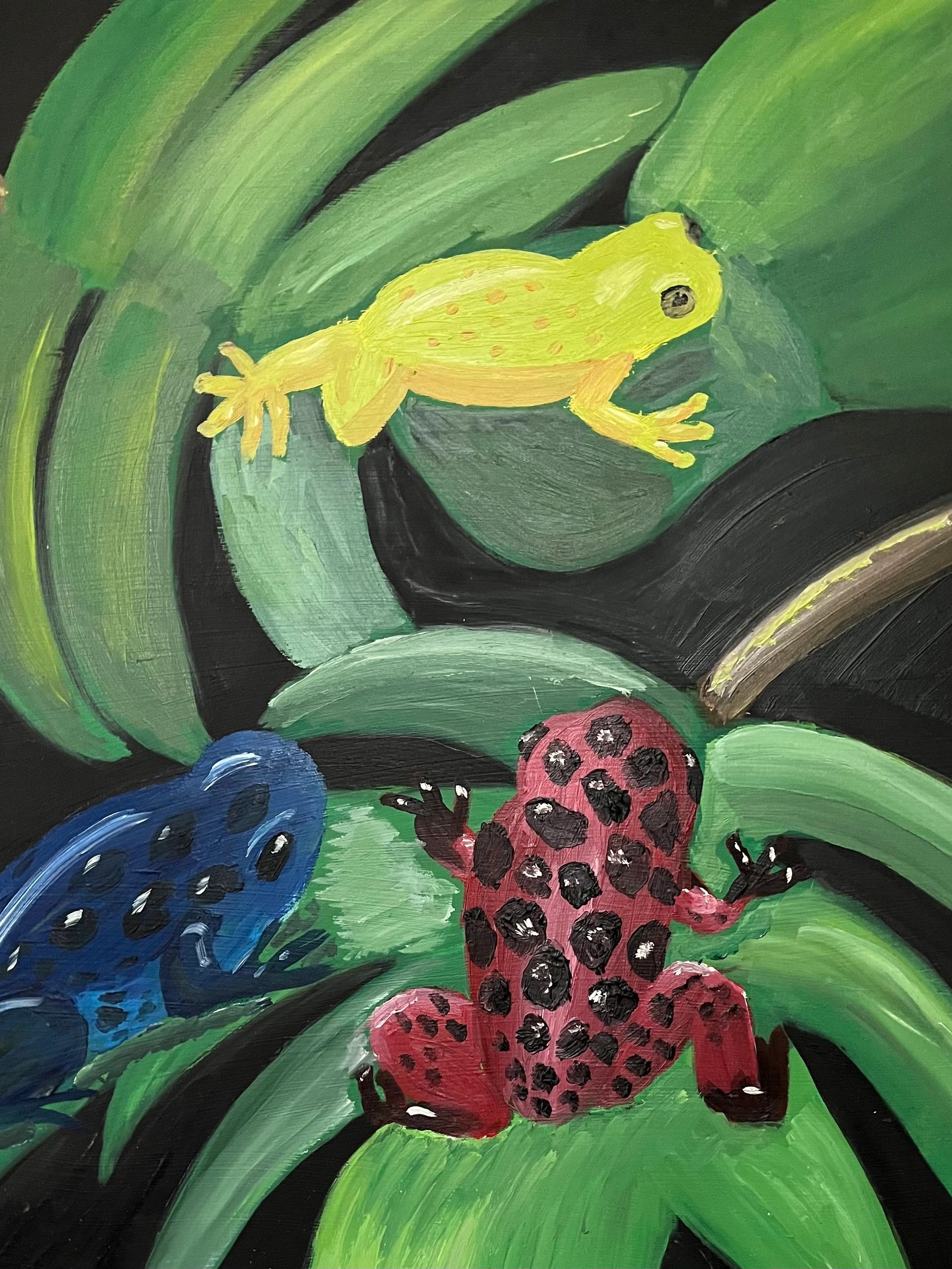 3 poison dart frogs on leaves 