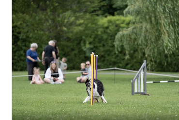 OBVCC Ottawa Valley Border Collie Club Agility