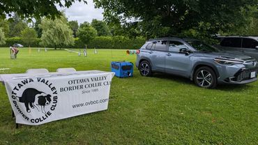 OBVCC Ottawa Valley Border Collie Club Agility