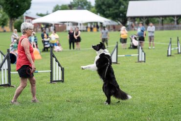 OBVCC Ottawa Valley Border Collie Club Freestyle