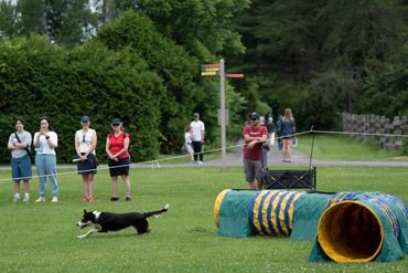 OBVCC Ottawa Valley Border Collie Club Agility