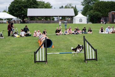 OBVCC Ottawa Valley Border Collie Club Agility