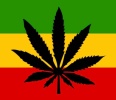 HERB CORNERS