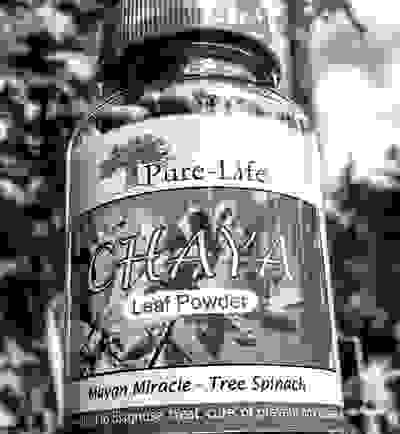 Pure Life - Superfood Supplements, Organic Chaya | Pure Life