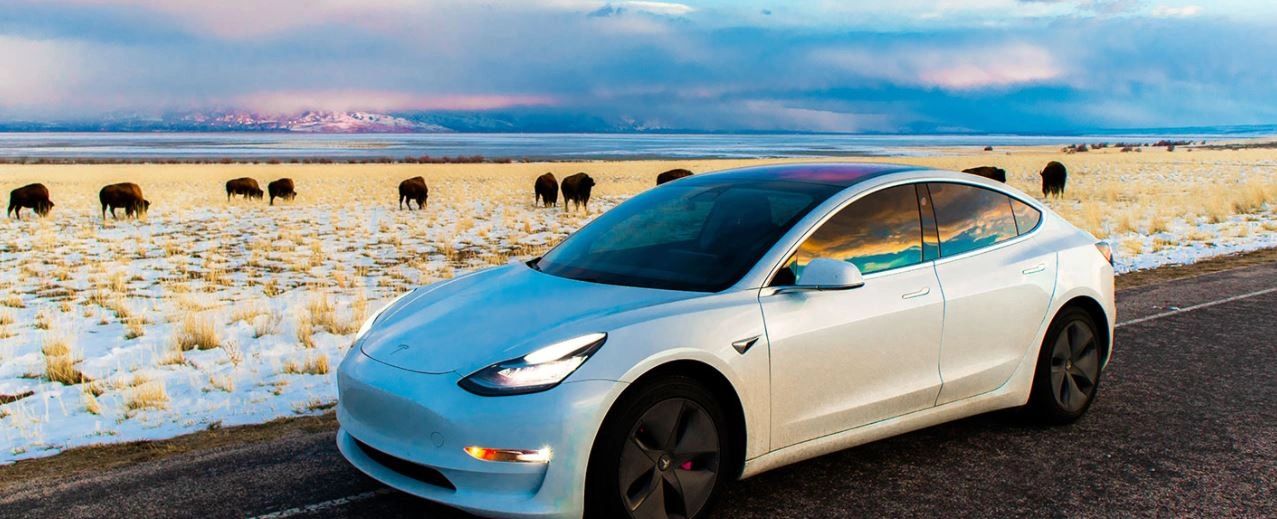 Tesla club форум