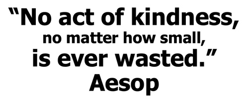 "No act of kindess, no matter how small is very wasted" Aesop