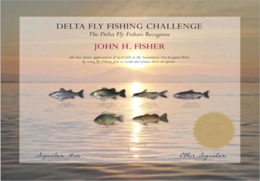 Fly Fishing the California Delta (No Nonsense Fly Fishing