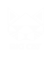 where is my big cat?