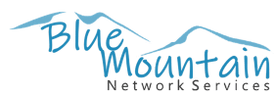 Blue Mountain Network Services