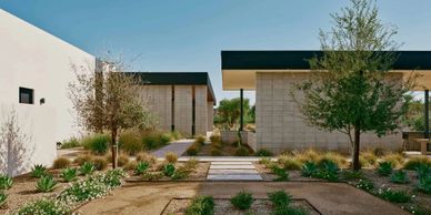 Modern houses with flat roofs and desert landscaping under a clear blue sky.