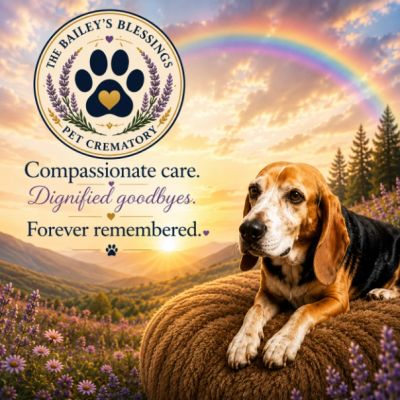 Pet crematory ad with a dog, rainbow, and heartfelt message.