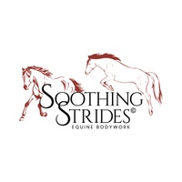 Soothing Strides Equine Bodywork LLC