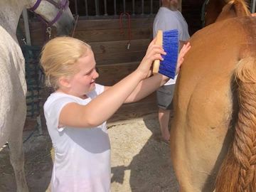 Ella grooming after horse riding lessons