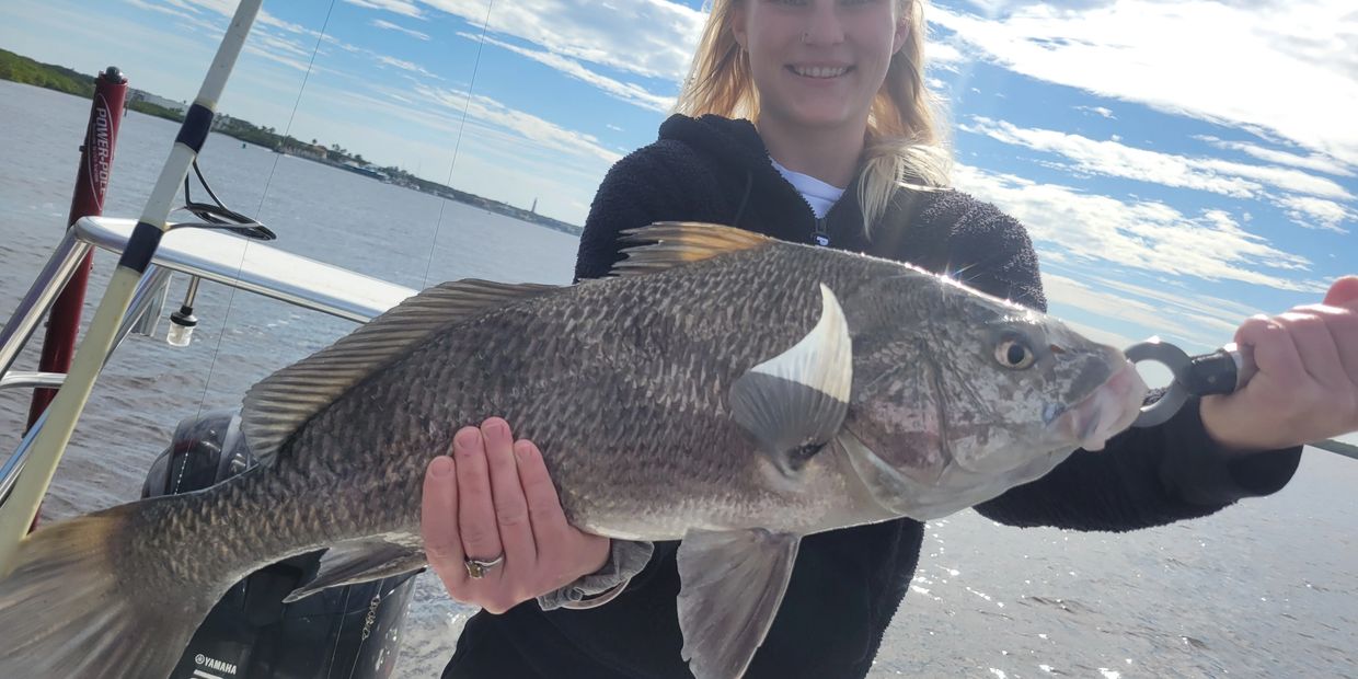 This afternoon charter is basically the same as the morning except the catch is more predators.
