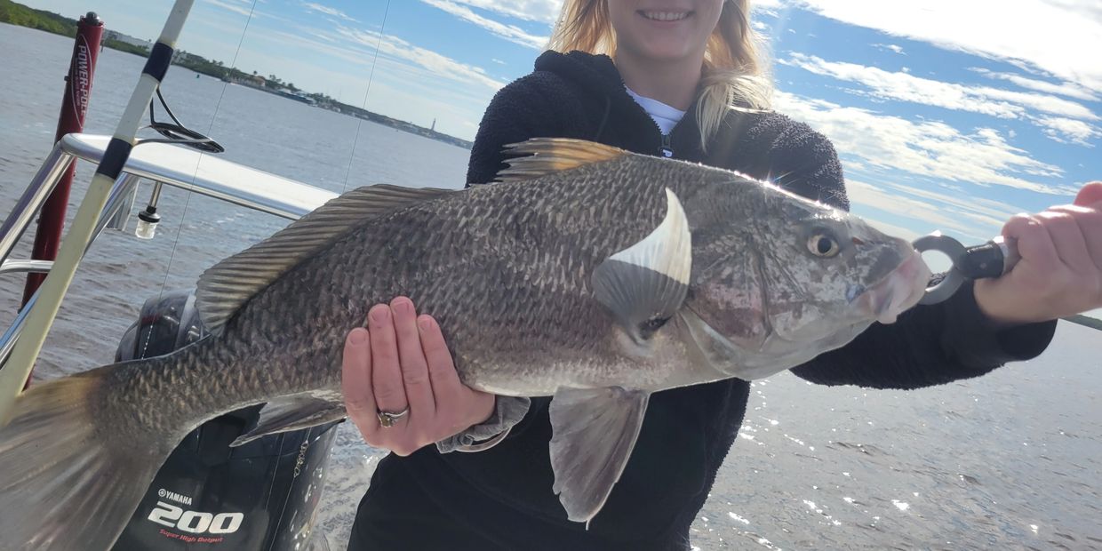 This afternoon charter is basically the same as the morning except the catch is more predators