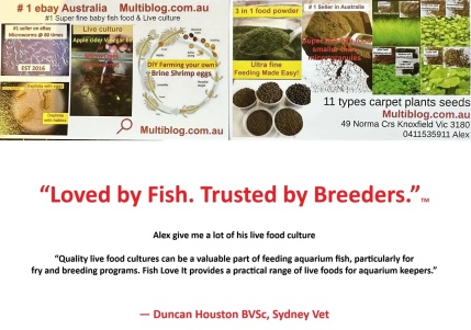 " Loved by fish. Trusted by Breeders" 
