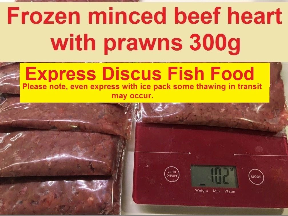 Discus Food