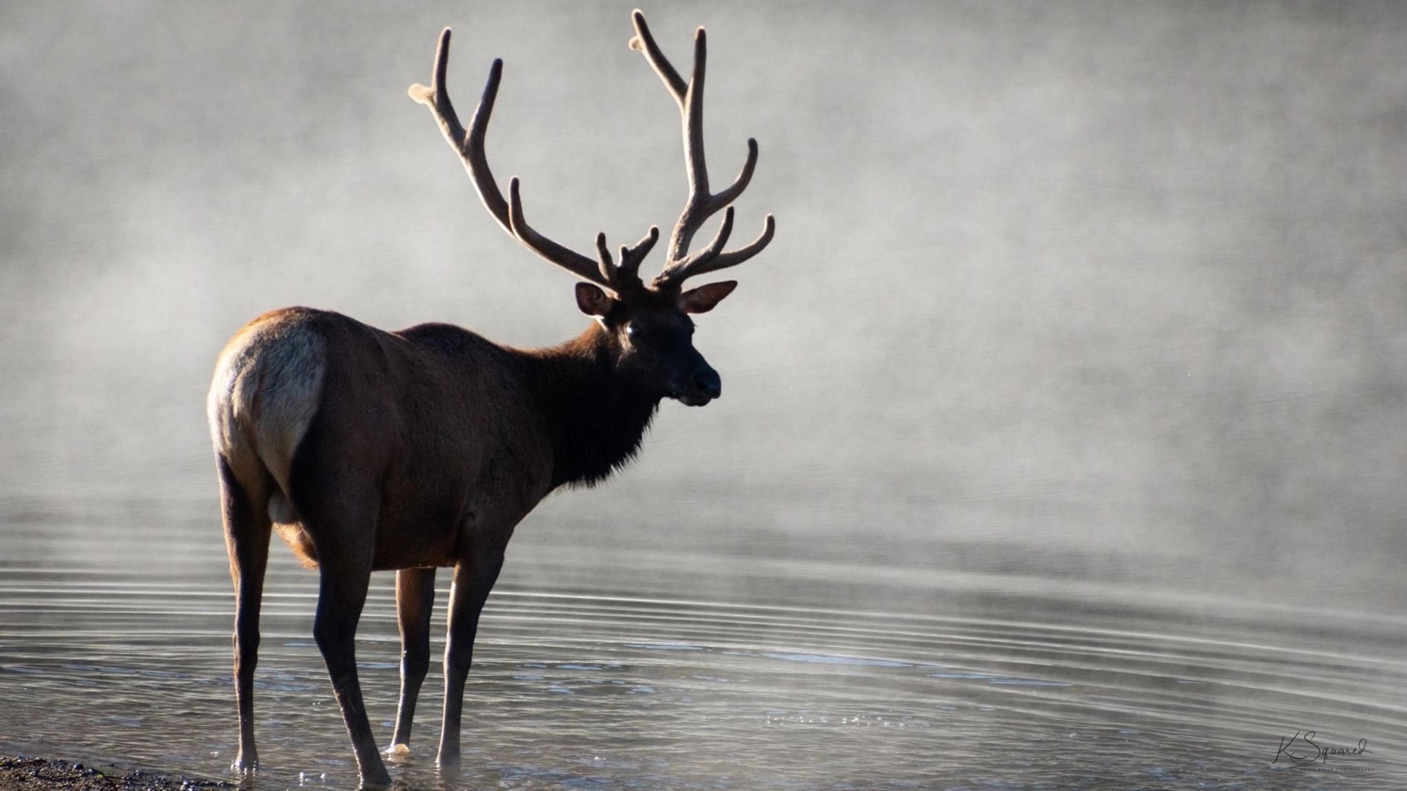 KSquared Photography