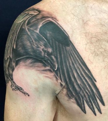 Black and grey raven tattoo on man's shoulder.