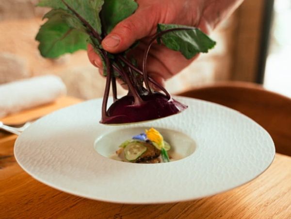Hand holding fresh beetroot above gourmet dish.
