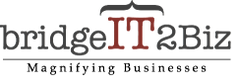 BridgeIT2Business Consulting Services