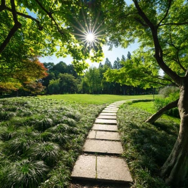 A beautiful garden