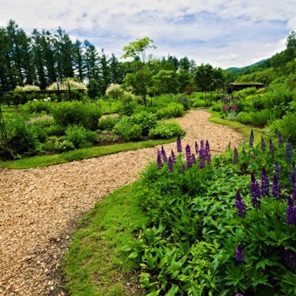A beautiful flower garden with pathway