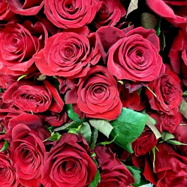 Wildflowers by Alicia