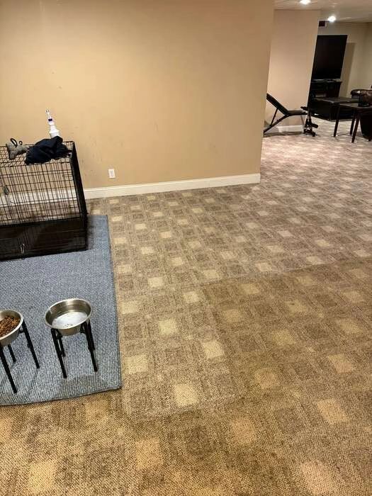 Before and after commercial carpet cleaning — Bethlehem Township PA