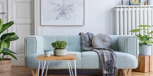 sofa after professional upholstery cleaning