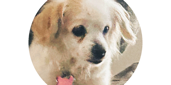 A cozy room with three wooden bunk beds and patterned bedding.