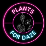 Plants For Daze