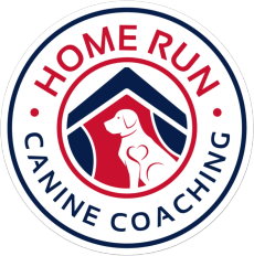 Home Run Canine Coaching