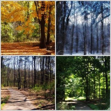 Collage of four seasons