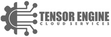 Tensor Engine Cloud Services