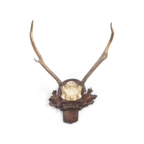 Deer Antlers (Sm)