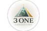 3 One Consulting
