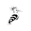 Falcon Drone Services