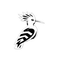 Falcon Drone Services