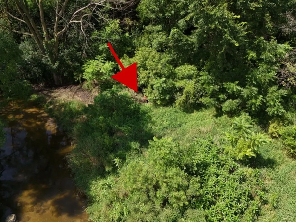 Drone photo of lost pig