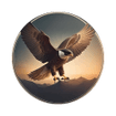 Falcon Drone Services