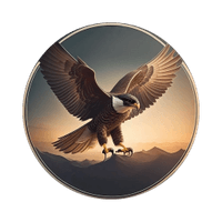 Falcon Drone Services