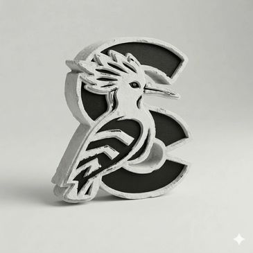 Photo of Standard Custom Business Drone Marketing Project