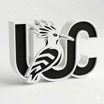 Photo of Ultimate Custom Business Drone Marketing Project